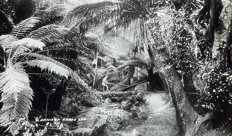 25 - Denison Pass (Denison Gorge Tas).jpg - 25 - Denison Pass (Denison Gorge Tas)